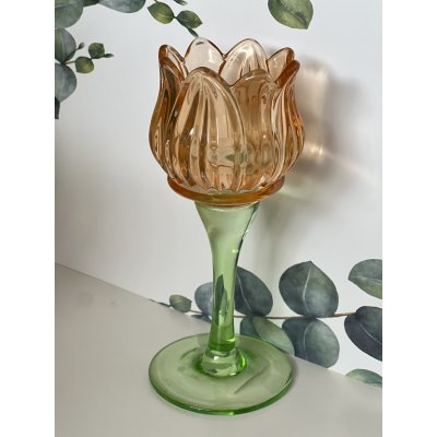 Tulp waxinelichthouder abrikoos 17.5cm Tulp waxinelichthouder abrikoos 17.5cm