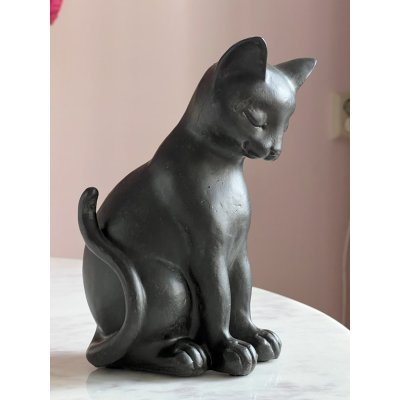 Beeldige Kat Beeldige Kat