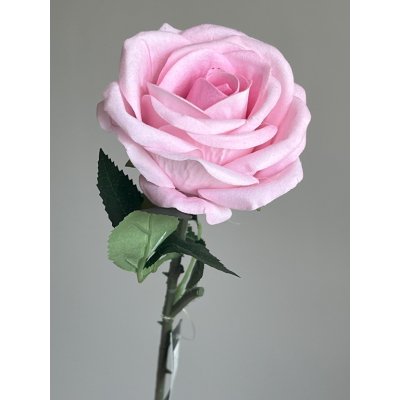 Roos 40cm