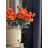 Tros Roos orange 