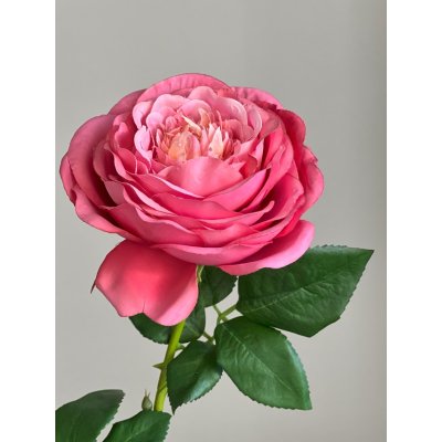 Provence Roos 52cm