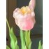 Roze set Tulpen met vaas