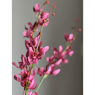 Zijde tak Cymbidium 90cm Zijde tak Cymbidium 90cm