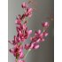 Zijde tak Cymbidium 90cm