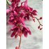 Zijde tak Cymbidium 90cm