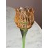 Tulp waxinelichthouder glas orange 22cm