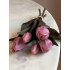 Bos real touch tulpen mauve