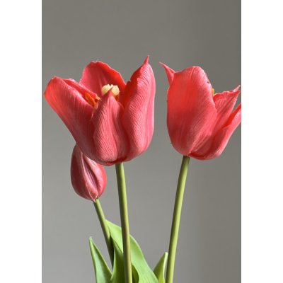 Open kunst Tulp Open kunst Tulp