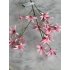 Tweedia tak 69cm