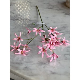 Tweedia tak 69cm