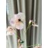 Silk-Ka Viool tak 103cm