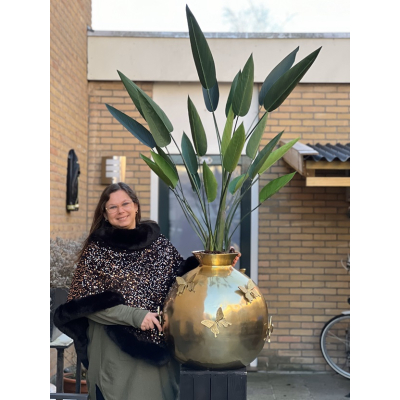Vlinder vaas met kunst Strelitzia Vlinder vaas met kunst Strelitzia