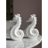 Zeepaard 24cm