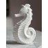 Zeepaard 24cm