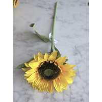 Zonnebloem