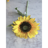 Zonnebloem