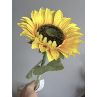 Zonnebloem